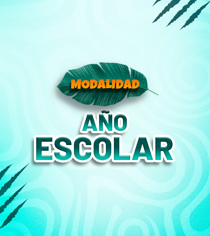 Modalidad Año Escolar