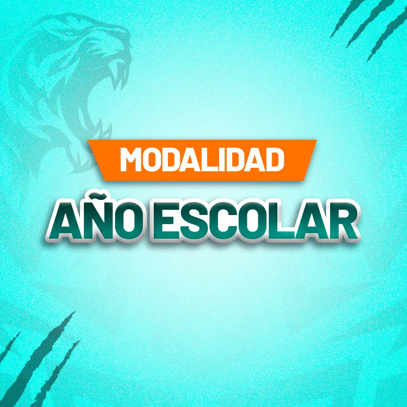 Modalidad Año Escolar